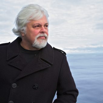 Gute Nachrichten von Captain Paul Watson: Nach 40 Monaten kehrt der Meeresaktivist in die Führung von Sea Shepherd zurück!