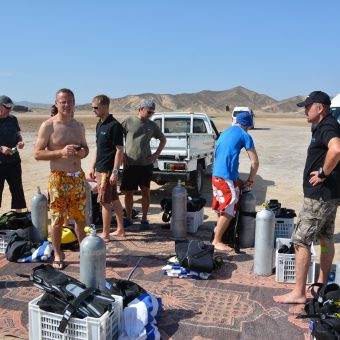 Tauchlehrer-Ausbildung im The Oasis Marsa Alam