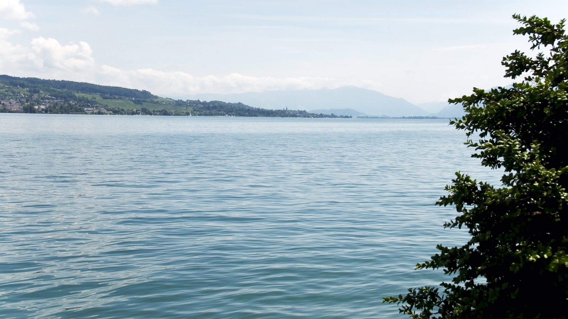 Im Zürichsee hat sich vorgestern ein tödlicher Tauchunfall ereignet.