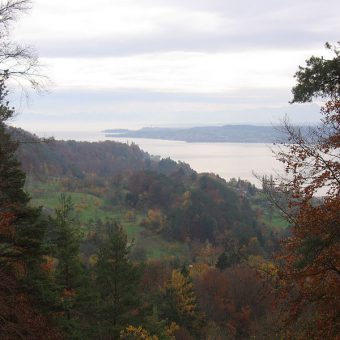 Überlinger See: Hier hat es am Samstag Mittag einen Vorfall bei einem Tauchgang gegeben.