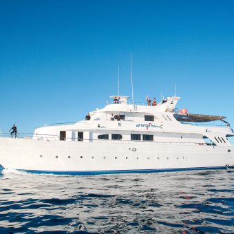 Die MY Longimanus kreuzt an den schönsten Spots im Roten Meer.