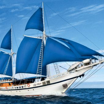 Die Fiji Siren verwöhnt ihre Gäste auf höchstem Niveau.