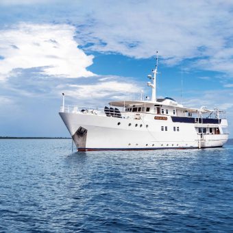 Die Pelagian ist eine Tauchyacht der Extraklasse.