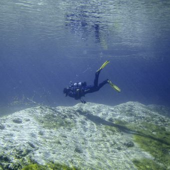 Der Streitköpflesee ist ein beliebter Spot für Taucher mit guter Sicht und relativ viel Fisch.