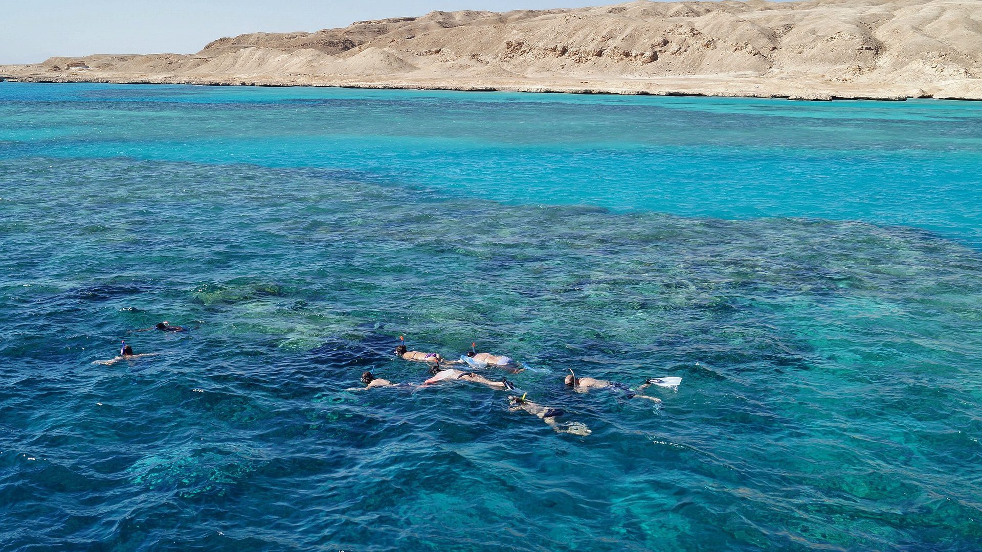 Nur ganz, ganz selten kommt es im Roten Meer zu Haiangriffen. Der Angriff von Ain El Sokhna ist laut ägyptischer Behörden ganz klar auf menschlichen Einfluss zurückzuführen.