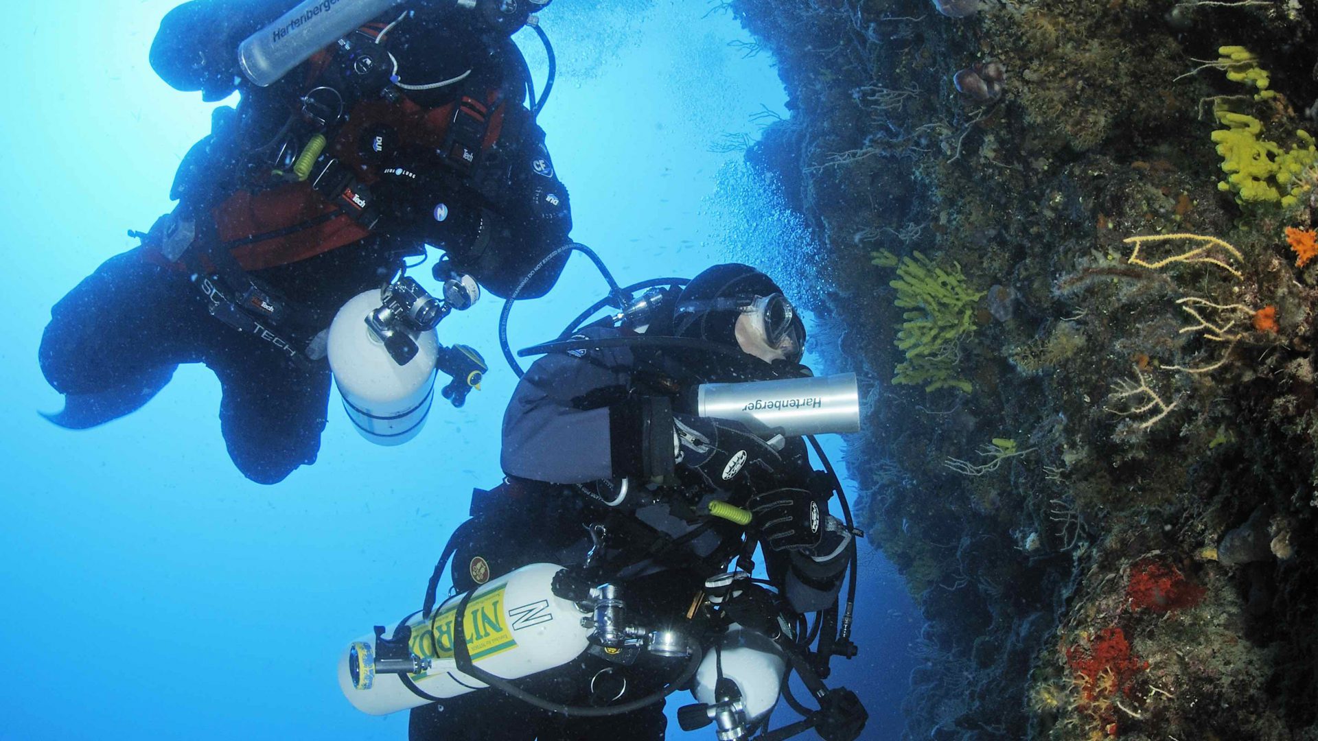 Beliebt bei Mitteleuropäern: Vor der kroatischen Adriaküste liegen einige traumhafte Tauchspots.