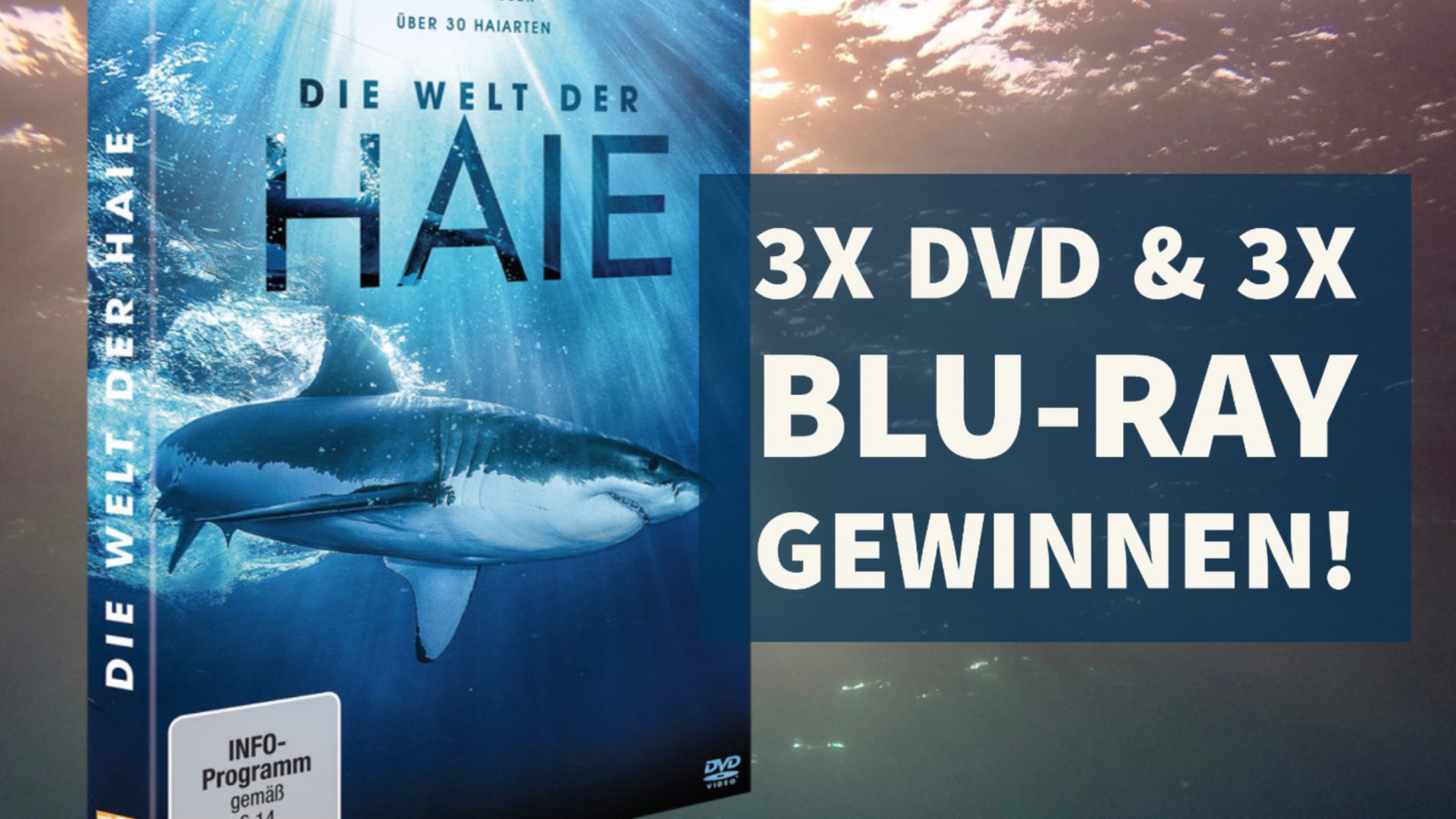 Jetzt mitmachen und jeweils eine Blu Ray oder DVD der spannenden BBC Dokumentation gewinnen! Illustration: Sascha Tegtmeyer