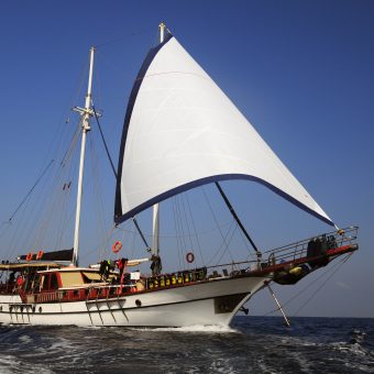 Die MSY San Marco ist ein atemberaubender, 30 Meter langer türkischer Gulet, der im Jahr 1997 gebaut und dann 2015 komplett renoviert wurde.