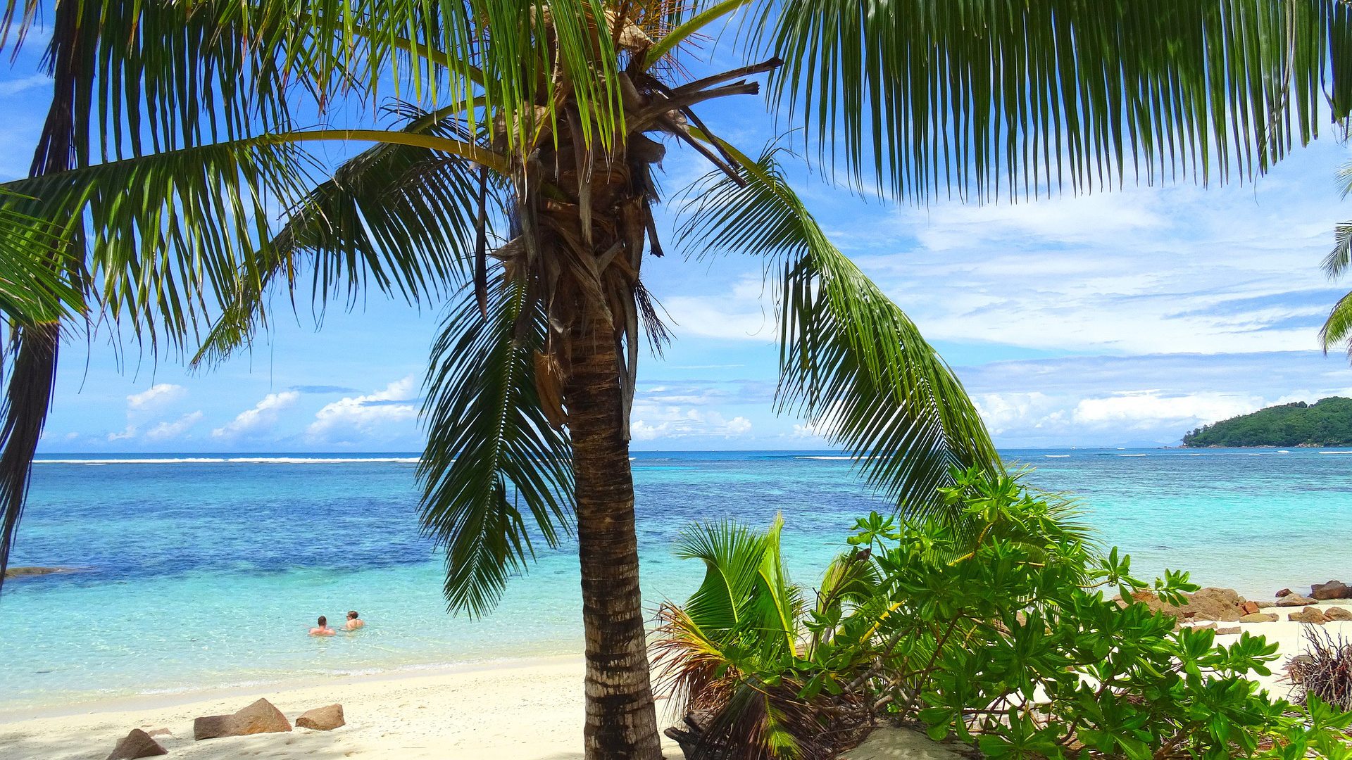 Traumstrand auf den Seychellen: Unter Wasser eines der schönsten Tauchgebiete der Welt.