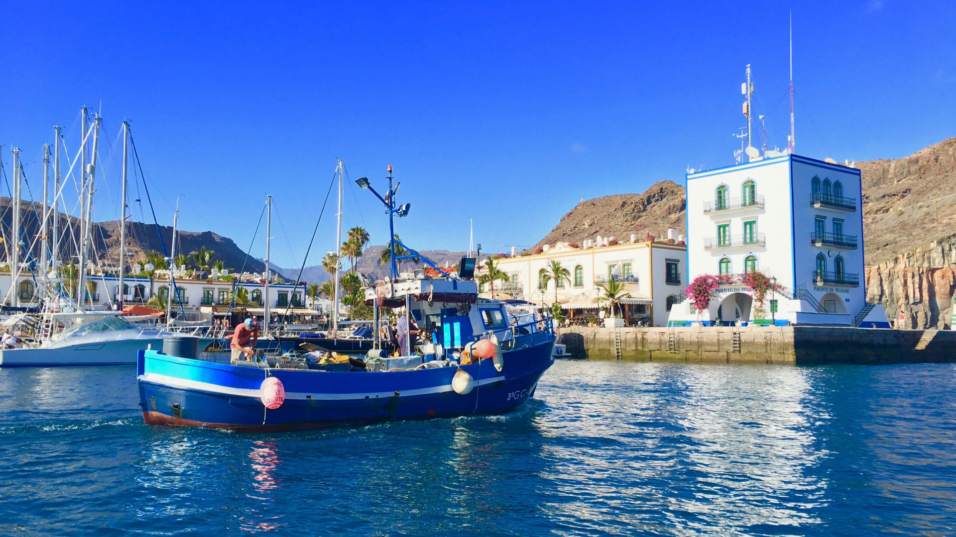 Die Marina von Puerto de Mogan: Von hier aus lassen sich viele Tauchspots ansteuern.