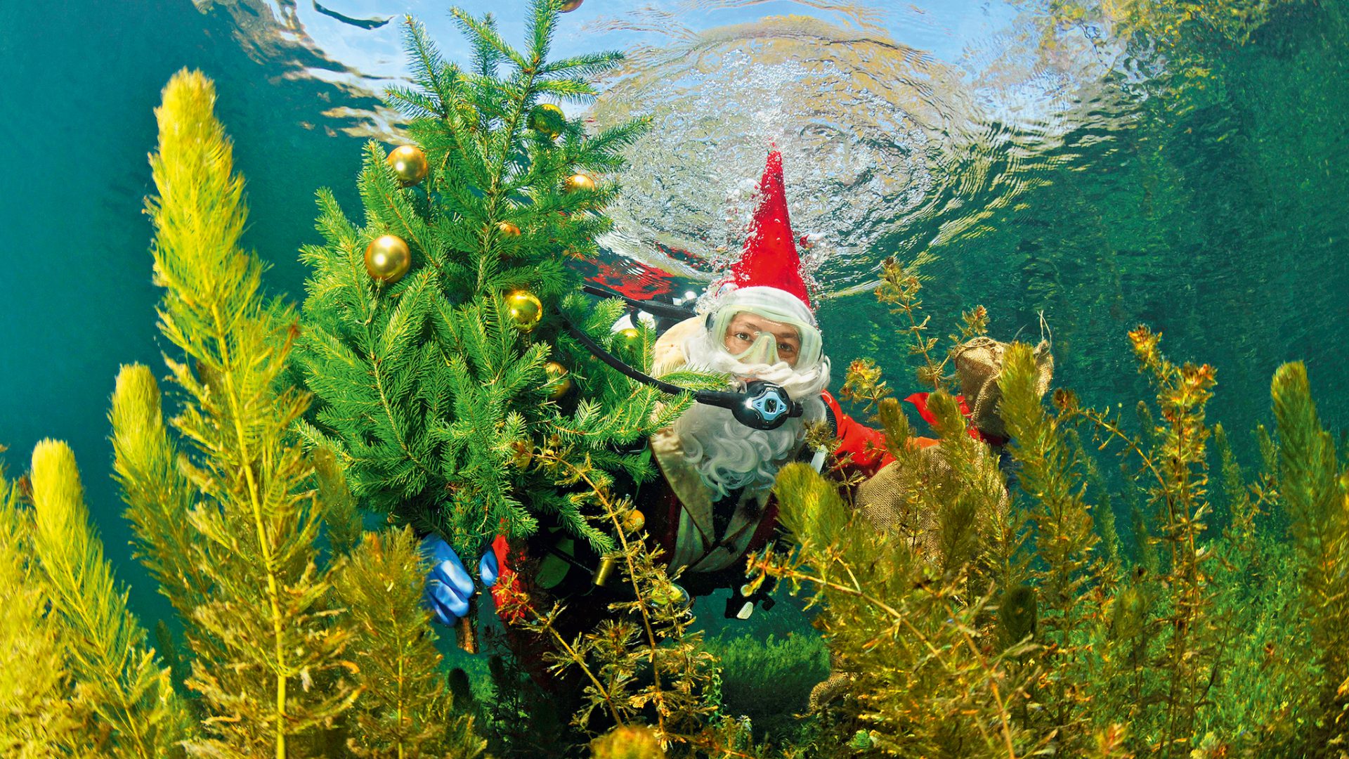 Der große TAUCHEN-Adventskalender ist auch 2016 wieder da: Jetzt mitmachen und wertvolle Preise gewinnen! Foto: Paul Munzinger