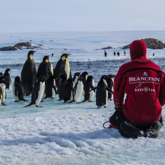 Die Dokumentation "Antarktis" entführt die Zuschauer in die wenig erforschte Welt des südlichen Polarkreises.
