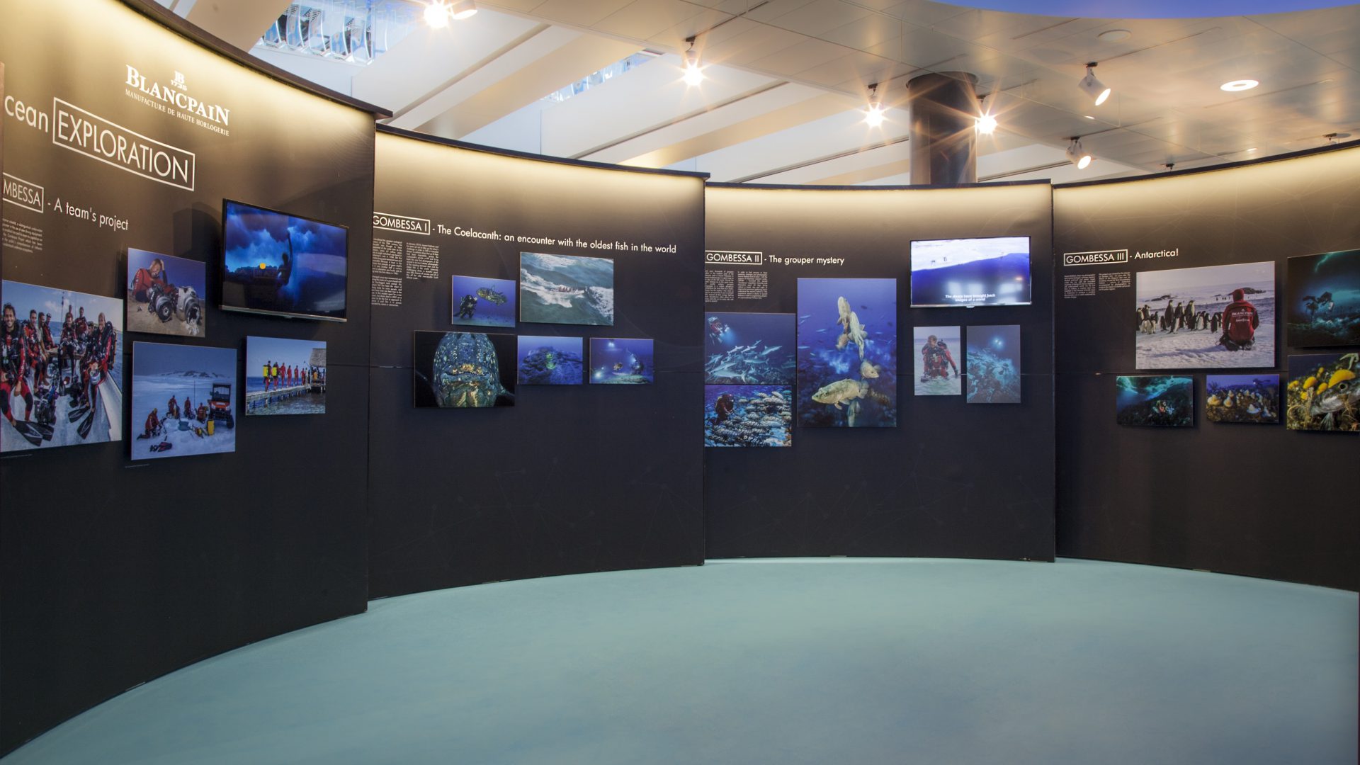Im Flughafen Zürich gibt es eine spannende Ausstellung des Uhrenherstellers Blancpain zum Thema Unterwasserfotografie.