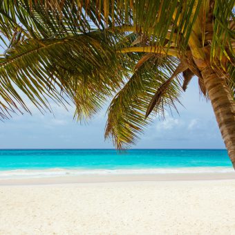 Ein Traum für Taucher und Strandurlauber: Die Dominikanische Republik.