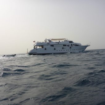 Neuer Stern am ägyptischen Tauchsafari-Himmel: Die SimSim Dive kreuzt an den schönsten Riffen des Roten Meeres.