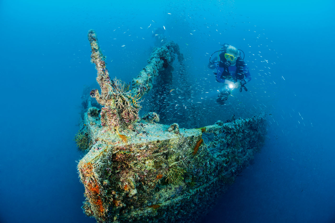 Abenteuerliche Rosalie Moller: Das Wrack begeistert viele Taucher. Foto: W. Pölzer