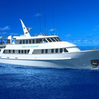 Die Spirit of Freedom: Eines der größten und komfortabelsten Liveaboards in Australien.
