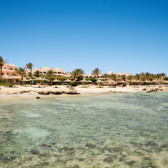 El Flamenco in El Quseir: Tolles Hotel für Taucher mit Saumriffen.