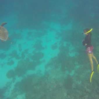 Meeresbiologin Sonia Valladares in Aktion: Die Dokumentation der Schildkröten-Population rund um Coco Bodu Hithi gehört zu ihrem Job.