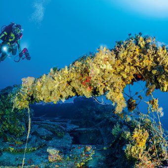 Dichter Bewuchs der „Le Polynesien“. Das 152 Meter lange Wrack wird auch als die „Titanic von Malta“ bezeichnet.