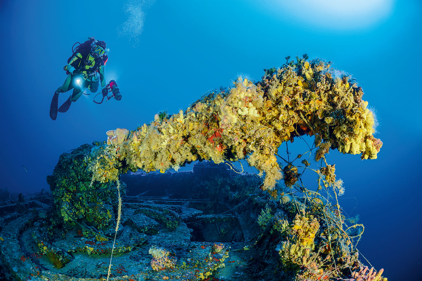Dichter Bewuchs der „Le Polynesien“. Das 152 Meter lange Wrack wird auch als die „Titanic von Malta“ bezeichnet.