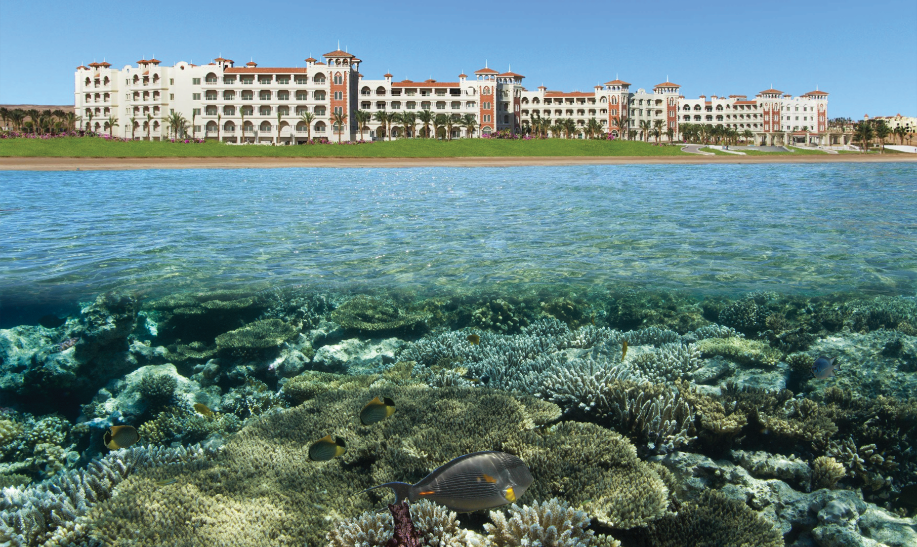 Sahl Hasheesh gehört zu den Top-Destinationen am Roten Meer.