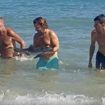 Rücksichtslos: Badegäste fotografieren sich mit dem Delfin-Baby. Foto: youtube.com