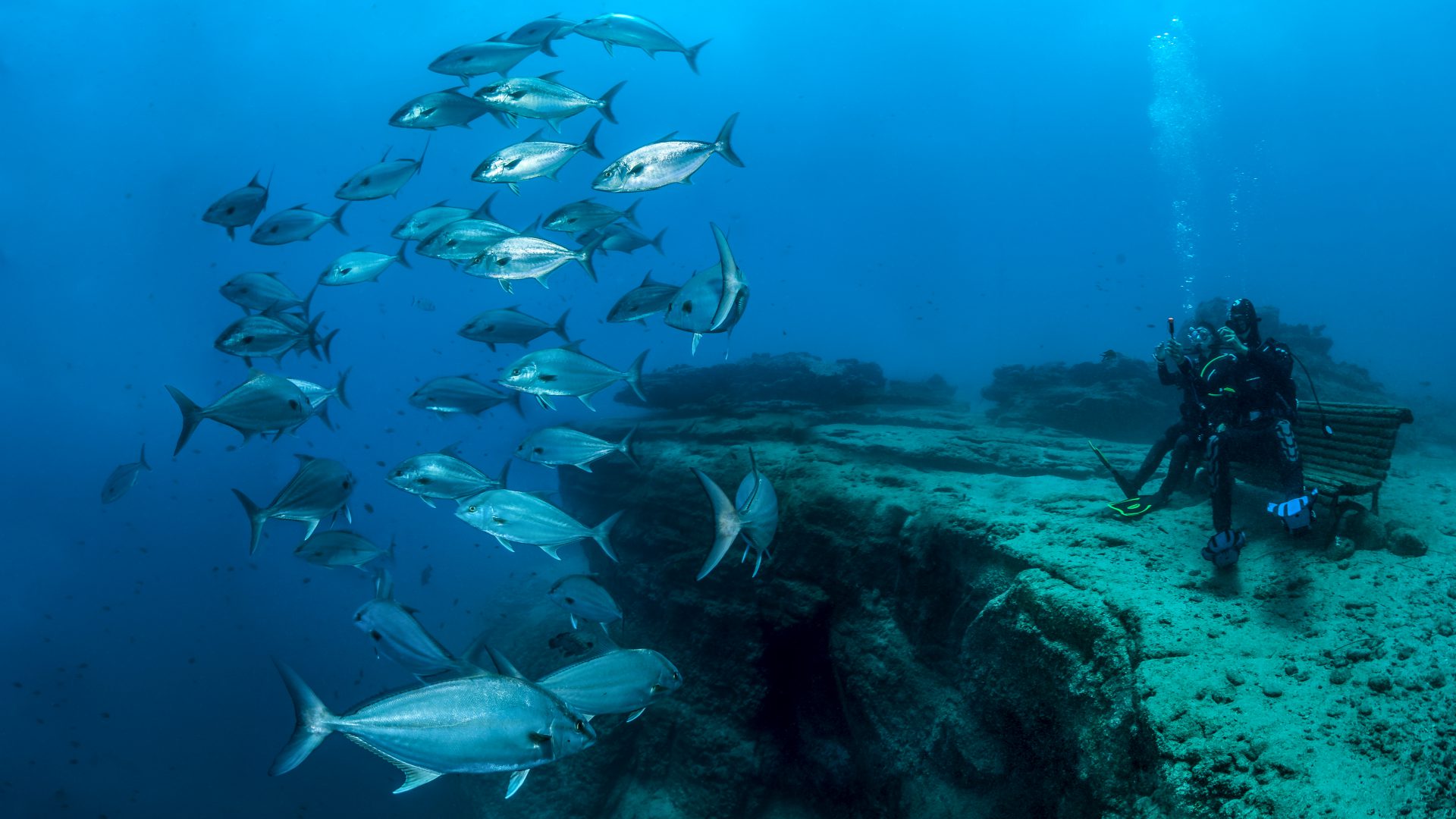 Zwei Taucher sitzen unter Wasser auf einer Bank und bestaunen Fische.