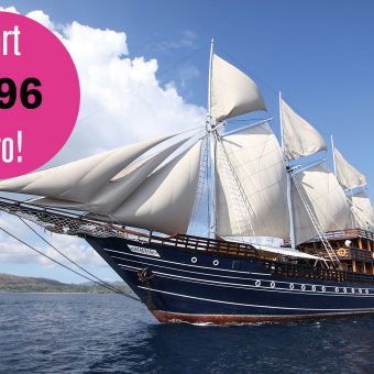 Das Segelschiff Amira mit vollen Segeln
