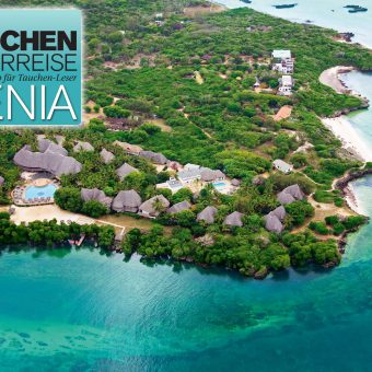 Tauchen-Leserreise nach Kenia 2019