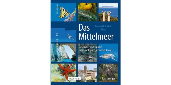Cover des Buchs