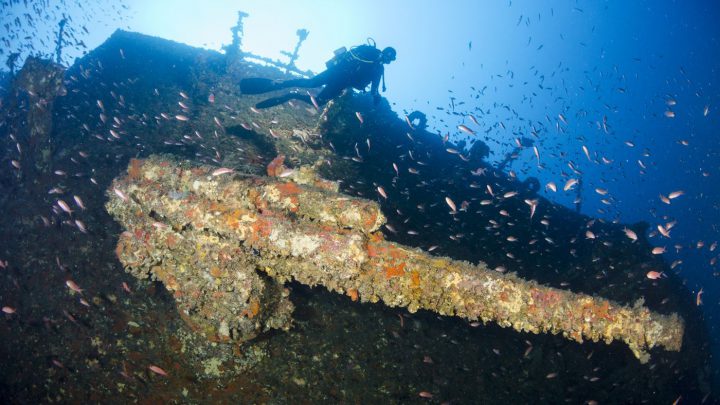 Am Wrack der Isonzo zielen zwei Bordkanonen ins Mittelmeer.
