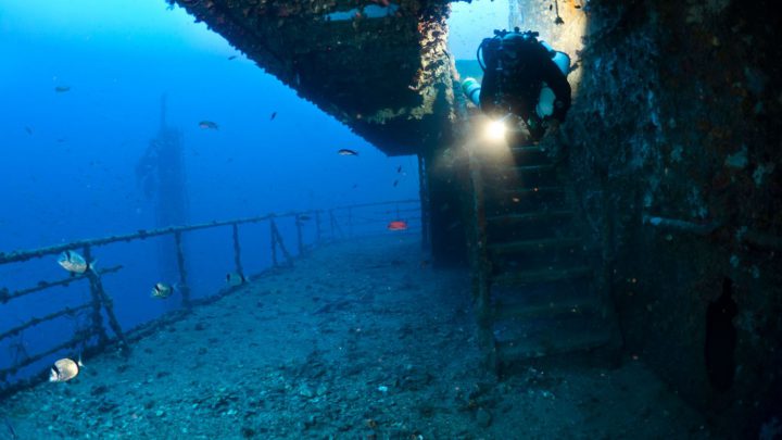 Gewöhnliche Sporttaucher sind hier eher selten anzutreffen. Die Mindestvoraussetzung für Tauchgänge an der Haven ist ein Brevet, das Abstiege bis 40 Meter erlaubt.