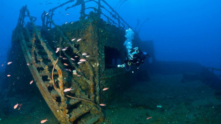 Die Leitern, die von Deck zu Deck verlaufen, sind mit Austern und Algen überwachsen, hin und wieder macht sich ein Drachenkopf beleidigt davon, weil ihn die Lampen der Taucher in seiner Ruhe stören, und Conger verstecken sich in kleinen Schloten und Einbuchtungen.