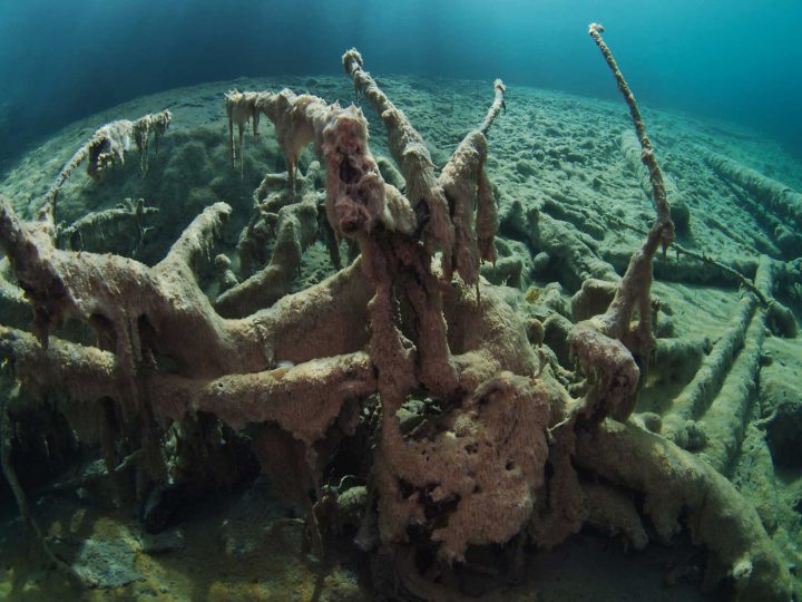Tauchen im Samaranger See