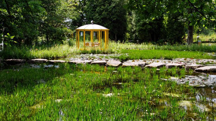 Grüne Idylle im Teutoburger Land: Der NaturaGart und seine riesige Folienteichlandschaft. Foto: Udo Kefrig