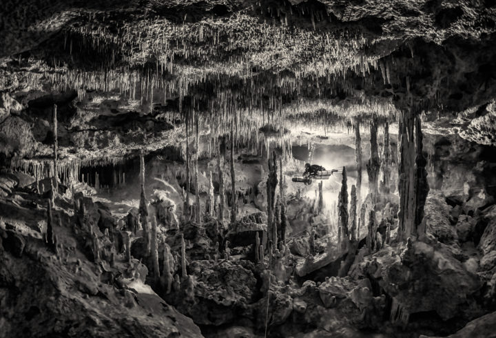 Platz 1, Fotograf: Martin Broen