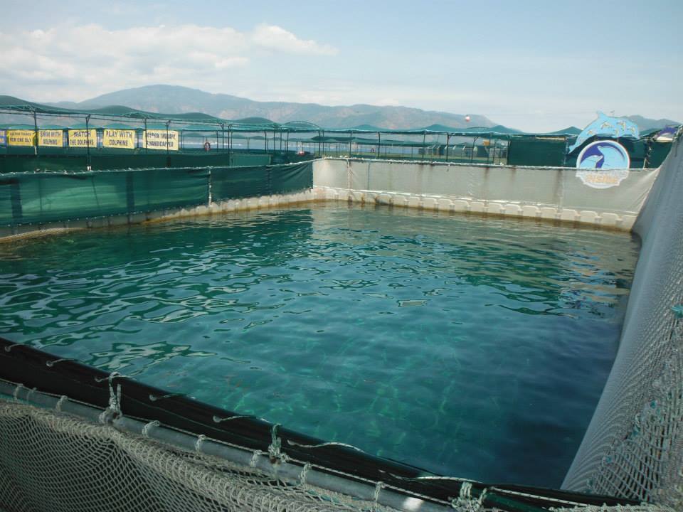 Freiwasser Delfinarium Marmaris, Türkei