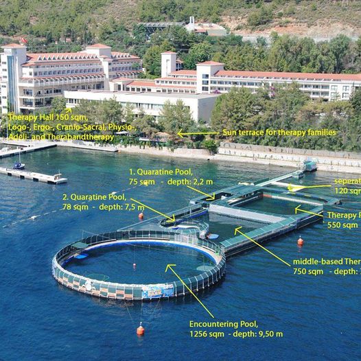 Freiwasser Delfinarium Marmaris, Türkei