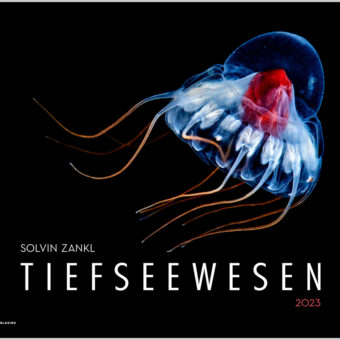 Delius Klassing Tiefseekalender