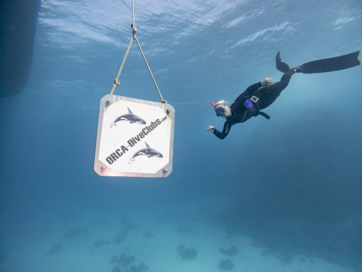 Orca Dive Clubs
