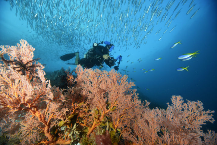 Fish & Trips wird 20