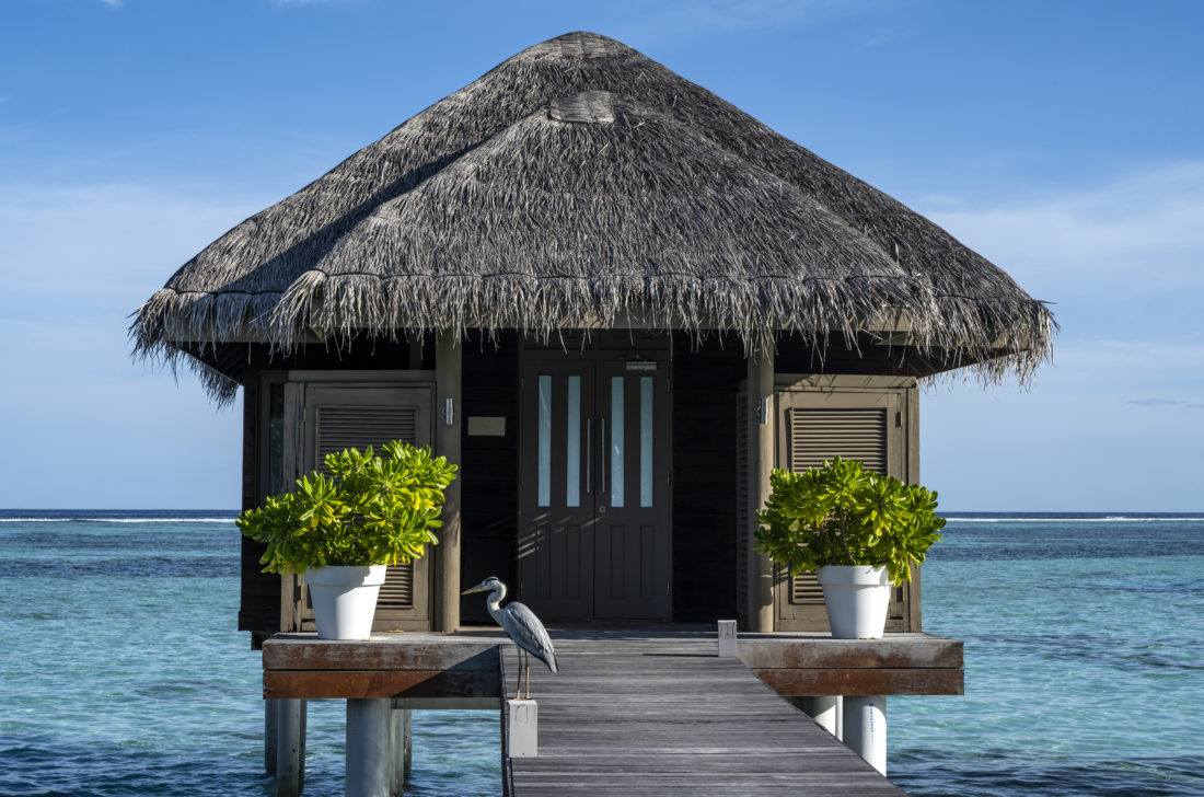 LUX South Ari Atoll
