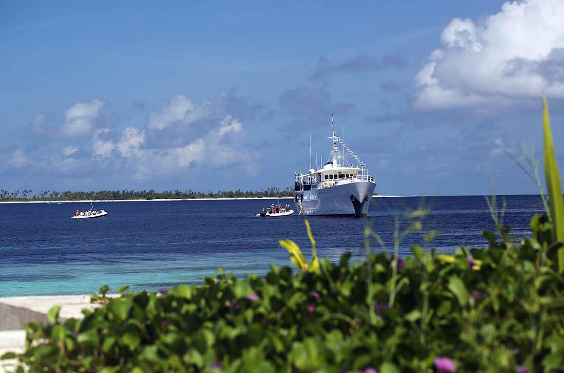 Landtauchen und Boots-Safari in Wakatobi