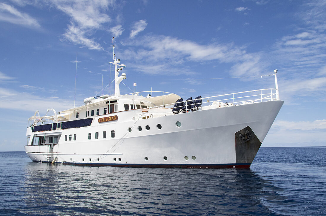 Landtauchen und Boots-Safari in Wakatobi