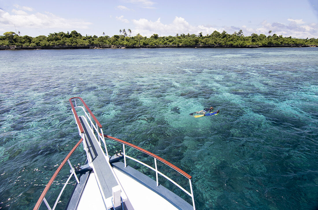 Landtauchen und Boots-Safari in Wakatobi