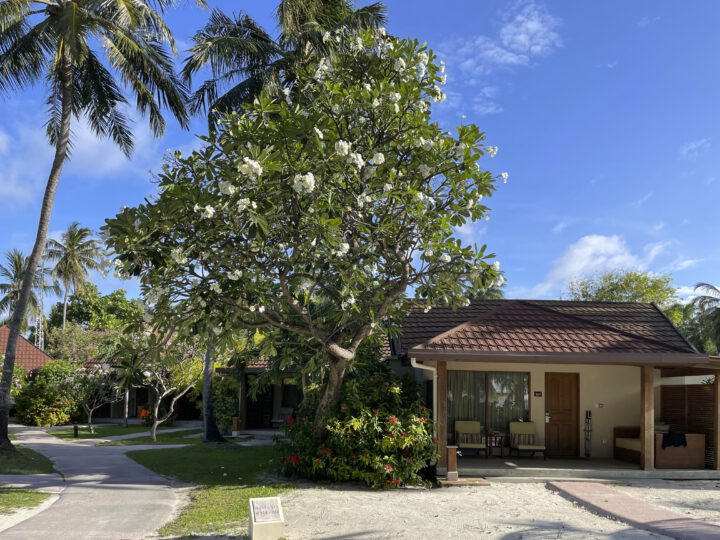 Inselbungalow Kurumba