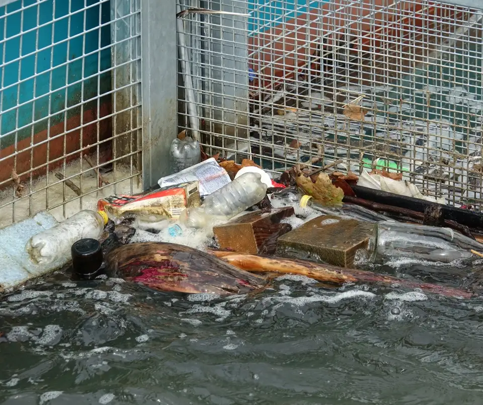 Müll im Rhein an einer Barriere nahe Köln mit Plastikflaschen und Abfällen im Wasser