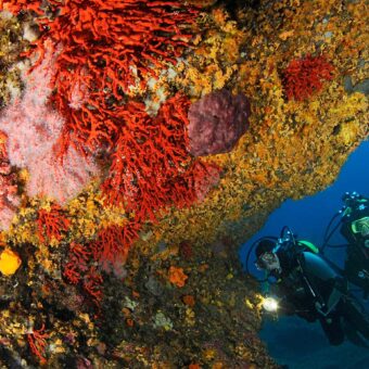 Taucher an einer steilen, mit Gorgonien bewachsenen Felswand an der Costa Brava