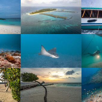 Collage aus Luftaufnahme, Resort und Tauchmotiven im Süd-Malé-Atoll und Noonu-Atoll der Malediven
